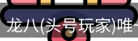 龙八官网